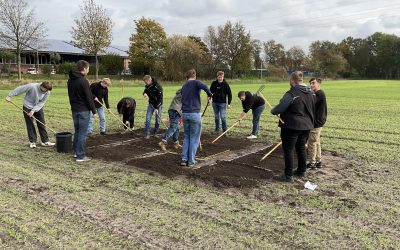 Anbauversuch mit Wintergerste